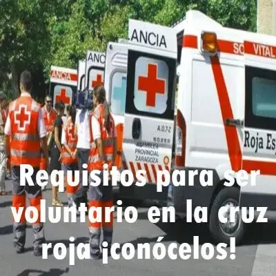 Requisitos para ser voluntario en la cruz roja ¡conócelos!