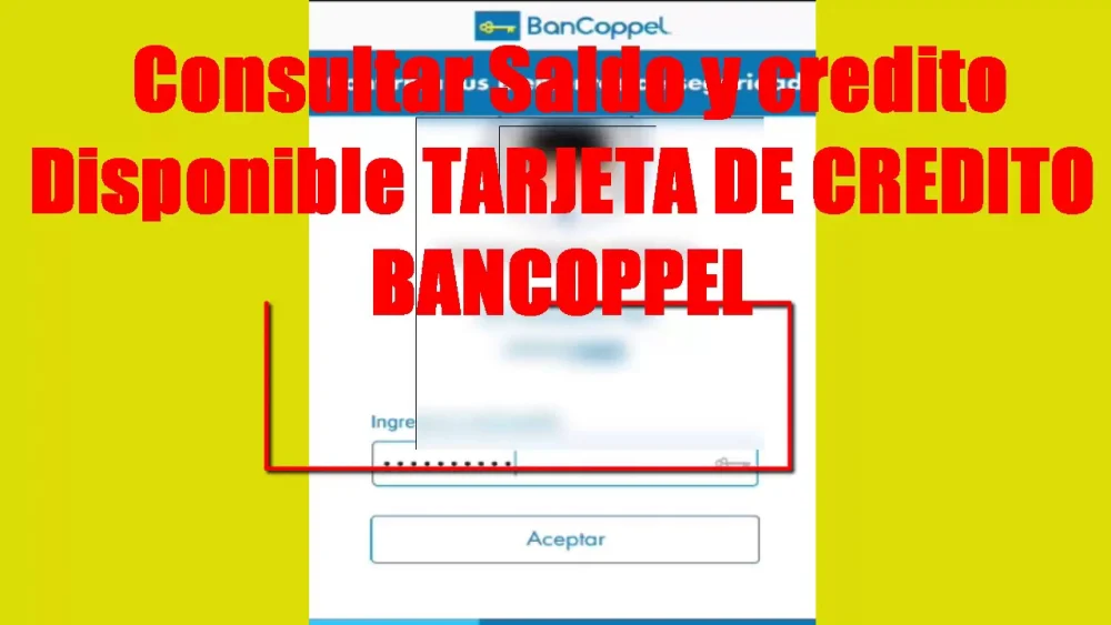 Verifica tu crédito en Coppel de forma rápida y sencilla