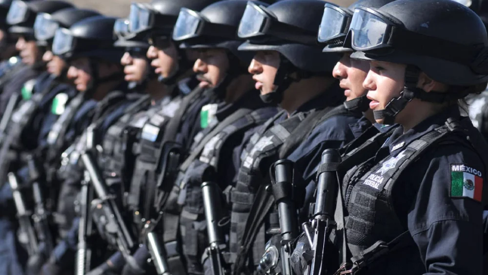 Requisitos para ser policía federal de México: todo lo que necesitas saber.