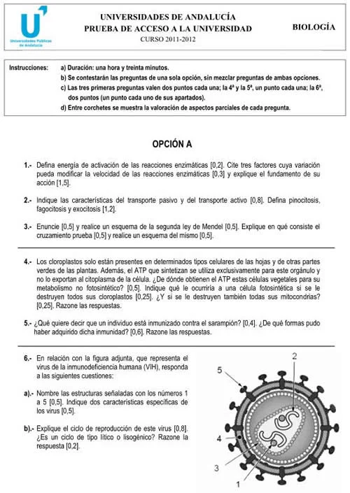 ¿Cómo estudiar biología para selectividad?