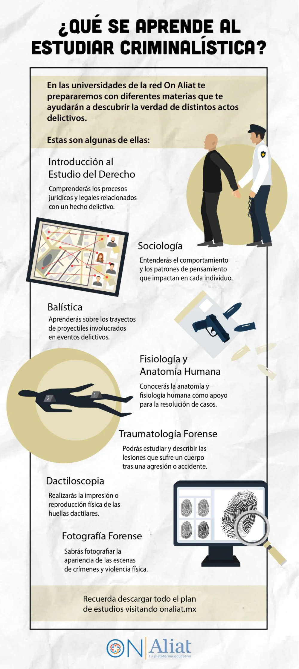 Guía completa para estudiar criminología en México: requisitos paso a paso