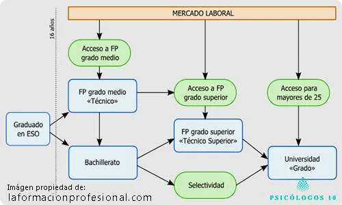 Requisitos para estudiar psicología en España
