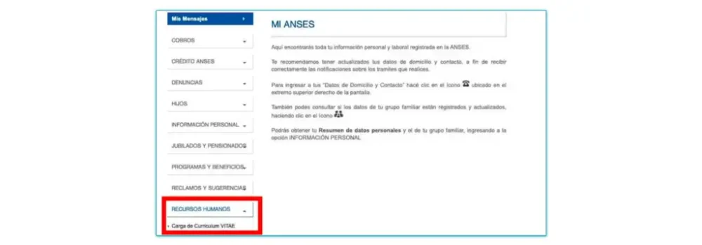 Requisitos para trabajar en ANSES: todo lo que necesitas saber.