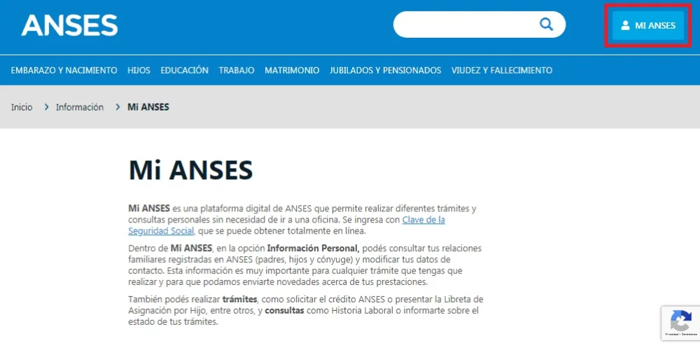Saber si cumples los requisitos para cobrar la garrafa social: ¡detalles importantes!