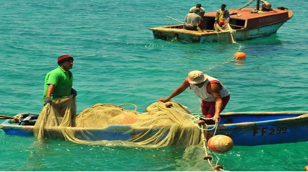 Guía completa: Obtención de autorización para exportar productos pesca en Cuba