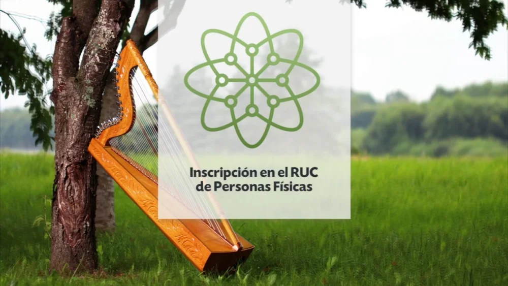 Guía completa: Obtención del RUC en Paraguay paso a paso para el Registro Único del Contribuyente