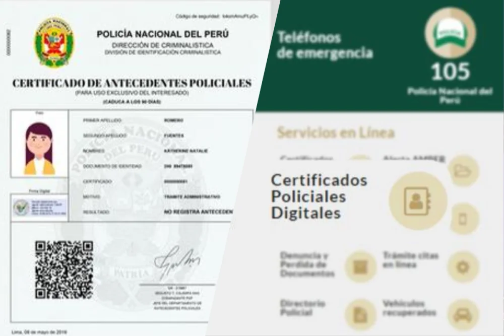 Guía completa: Cómo obtener tu certificado de antecedentes de la DAS - Paso a paso y requisitos