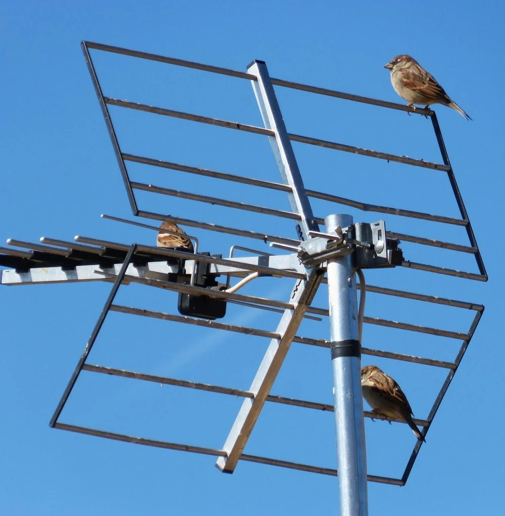 ¿Cómo obtener autorización para instalar una antena de telecomunicaciones en Nicaragua? Guía paso a paso