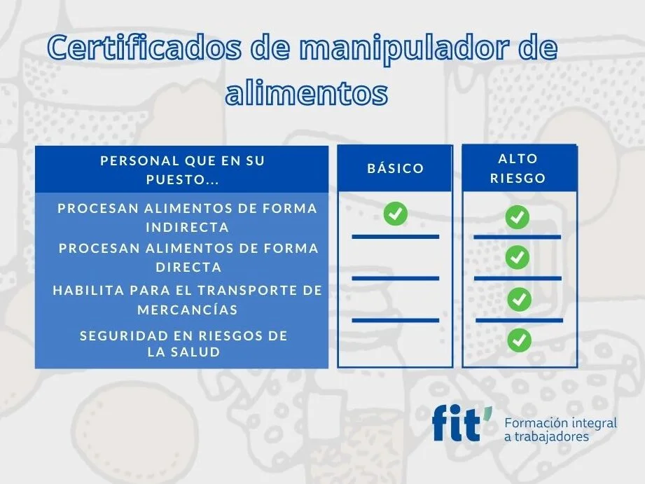 Guía completa para obtener el carné de manipulador de alimentos en España: requisitos y pasos a seguir