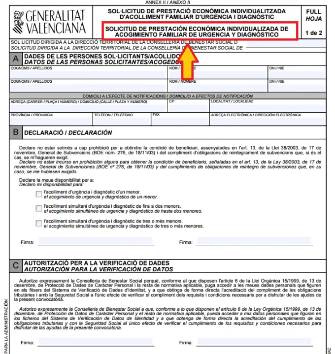 Guía paso a paso: Cómo obtener el certificado de acogimiento familiar en España