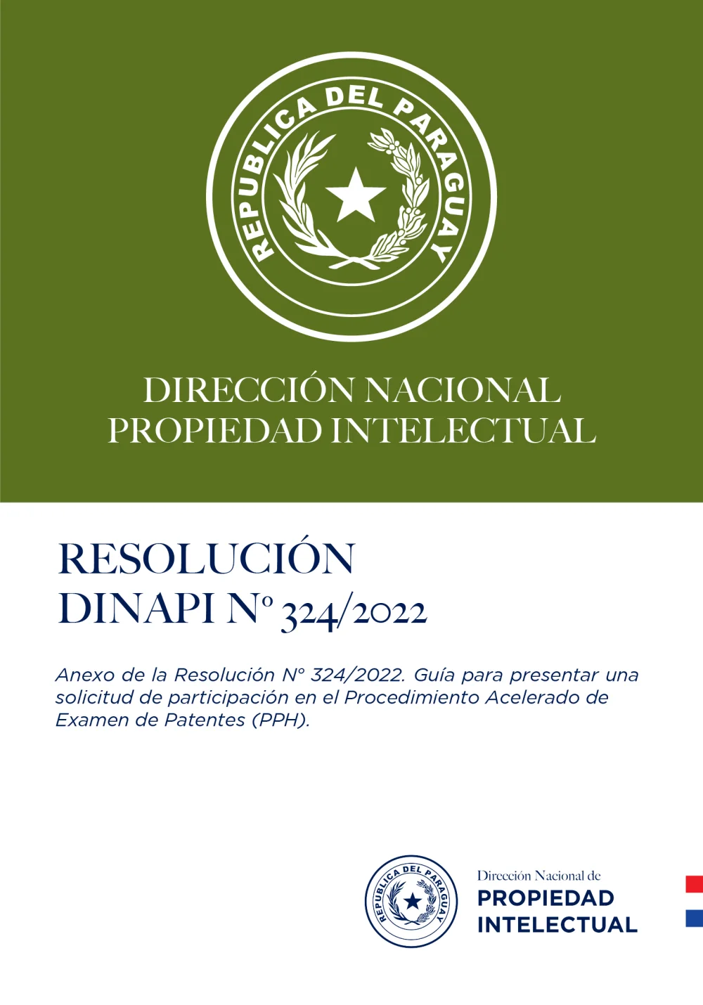 Guía completa: Registro de empresa en la Dirección Nacional de Propiedad Intelectual en Paraguay 2022