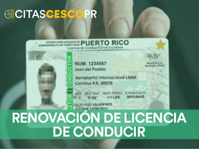 Guía completa para la renovación del permiso de conducir en Puerto Rico: Requisitos y procedimientos actualizados