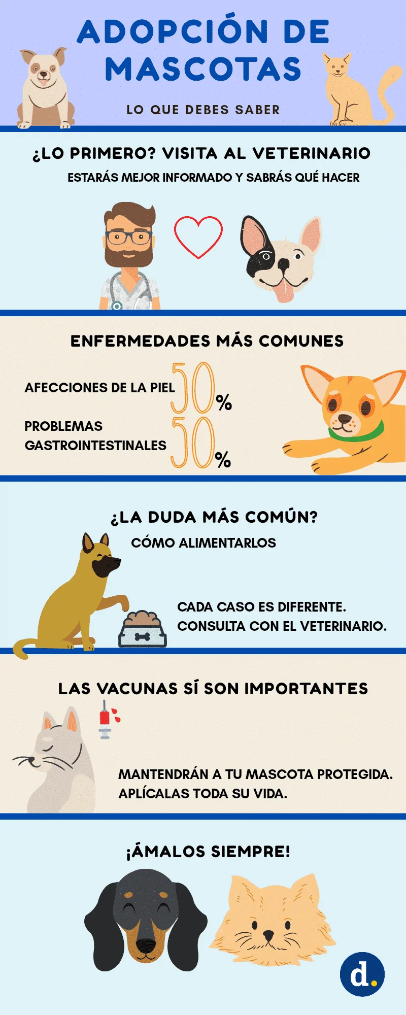 Todo lo que necesitas saber sobre los requisitos para adoptar una mascota en Venezuela: guía completa