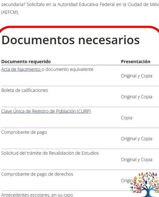 Todo lo que debes saber sobre los requisitos para obtener un certificado de estudios en México: guía completa