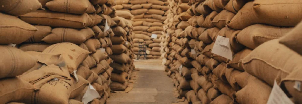 Guía completa de trámites para exportar café en Guatemala: ¡Aprende todo lo que necesitas saber!