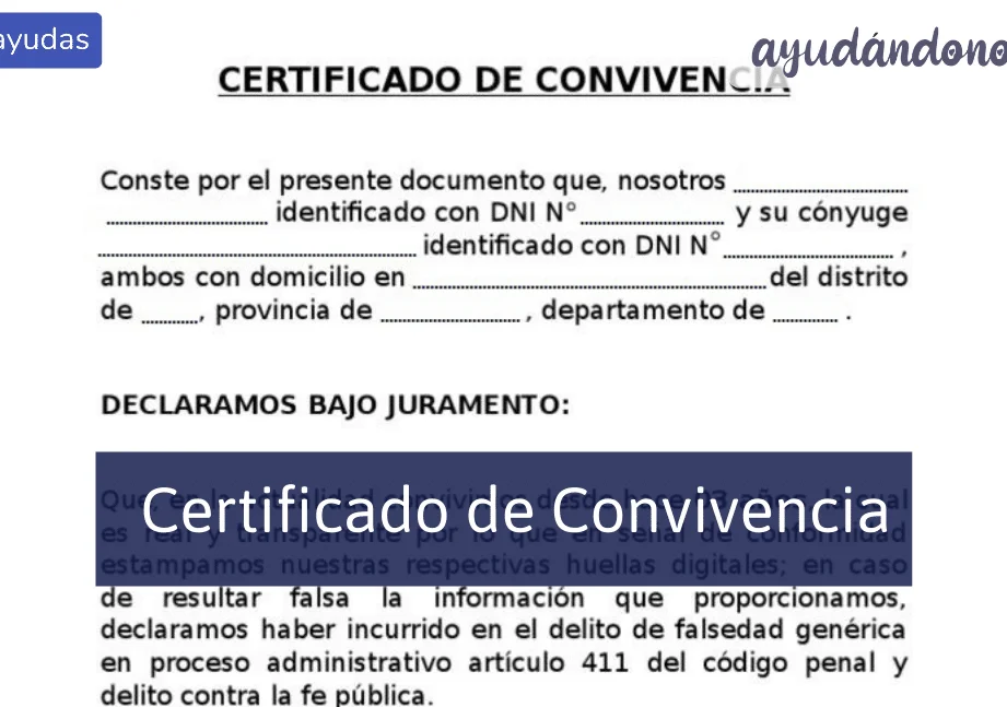 Todo lo que necesitas saber: Guía paso a paso para tramitar el certificado de convivencia en Argentina