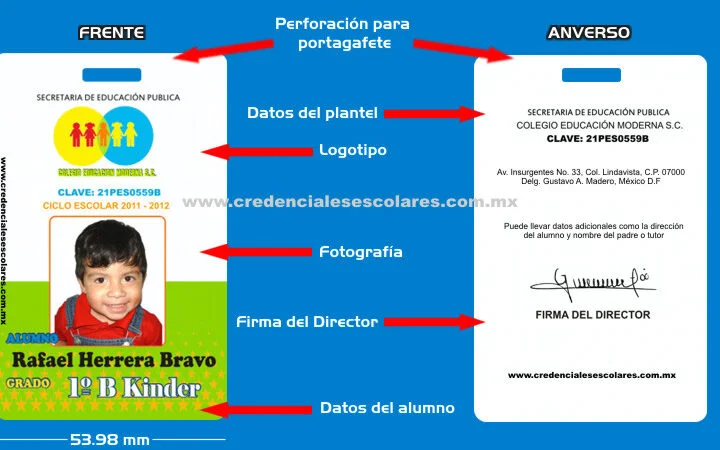 Todo lo que necesitas saber sobre los requisitos para obtener tu credencial de estudiante en México