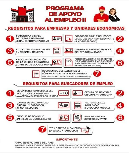 Todo lo que necesitas saber sobre los requisitos para trabajar en Bolivia