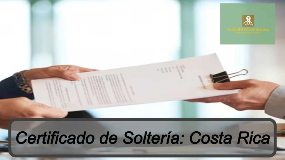 Guía completa: Cómo obtener el certificado de soltería en Costa Rica paso a paso