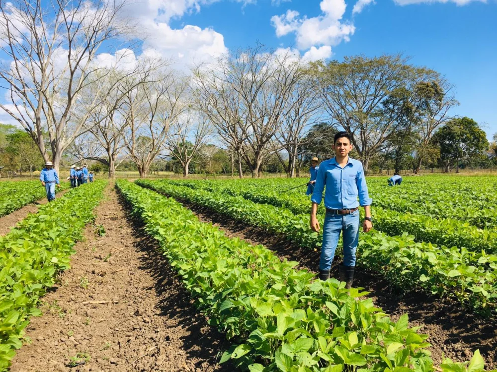 Guía paso a paso para obtener la licencia de agrónomo en Honduras: ¡Descubre cómo lograrlo con éxito!