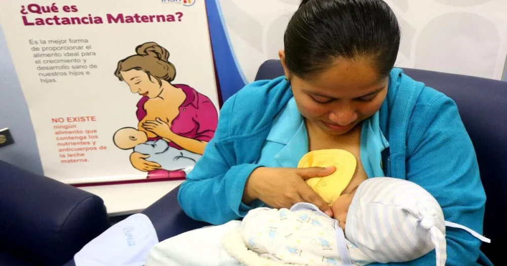 Todo lo que necesitas saber sobre los requisitos para solicitar el bono de lactancia en Perú