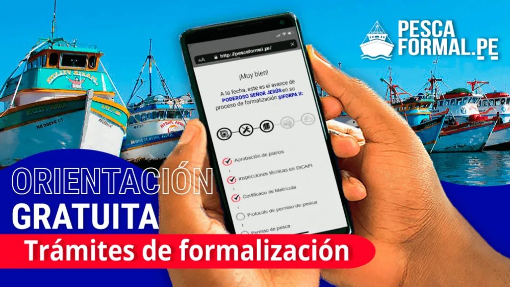 Todo lo que necesitas saber sobre la solicitud de permiso de pesca en Perú: pasos y requisitos detallados