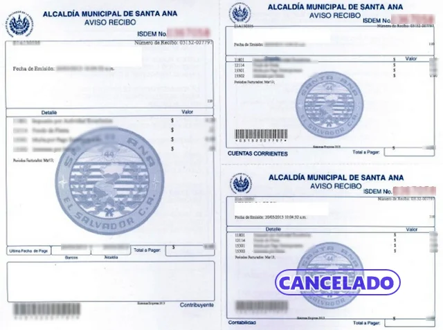 Guía Completa para el Trámite de Certificación de Solvencia Municipal en República Dominicana: Requisitos y Proceso Paso a Paso