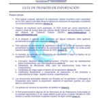 Guía completa de trámites de exportación de productos en Guatemala: Todo lo que necesitas saber