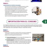 Guía completa de trámites para importar mercancías a Bolivia: Paso a paso y requisitos esenciales