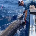 Guía completa para obtener tu licencia de pesca en Costa Rica de manera fácil y detallada