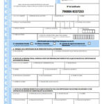 Guía completa para solicitar en España un certificado de antecedentes penales extranjeros