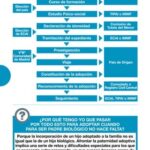 Guía completa: Trámite de adopción internacional en Argentina paso a paso