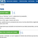 Guía paso a paso para solicitar un turno en la Administración Nacional de la Seguridad Social (ANSES)