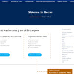 Solicitud de beca de posgrado en México: Guía completa con consejos y pasos a seguir