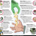 Todo lo que necesitas saber sobre los requisitos para obtener un préstamo y crear tu startup en Panamá