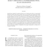 Todo lo que necesitas saber sobre los requisitos para solicitar el bono por responsabilidad penal adolescente en Chile