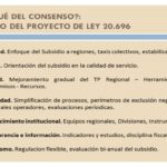 Todo lo que necesitas saber sobre los requisitos para solicitar el subsidio de transporte público en Chile