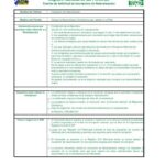 Todo lo que necesitas saber sobre los requisitos para solicitar la nacionalidad hondureña por naturalización